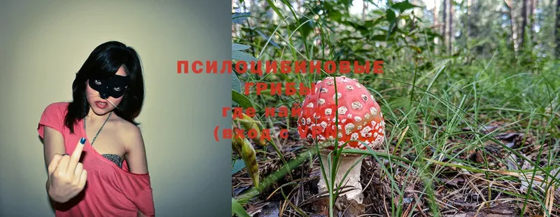 Галлюциногенные грибы Magic Shrooms  цены наркотик  Малмыж 